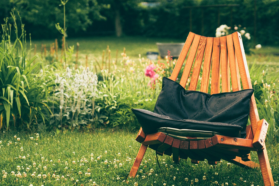 Jak łączyć trawy ozdobne z bylinami, żeby ogród nie wyglądał chaotycznie?