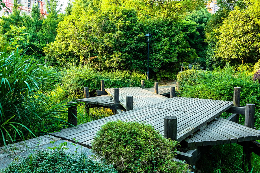 Kiedy sadzić trawy ozdobne – wiosna czy jesień?